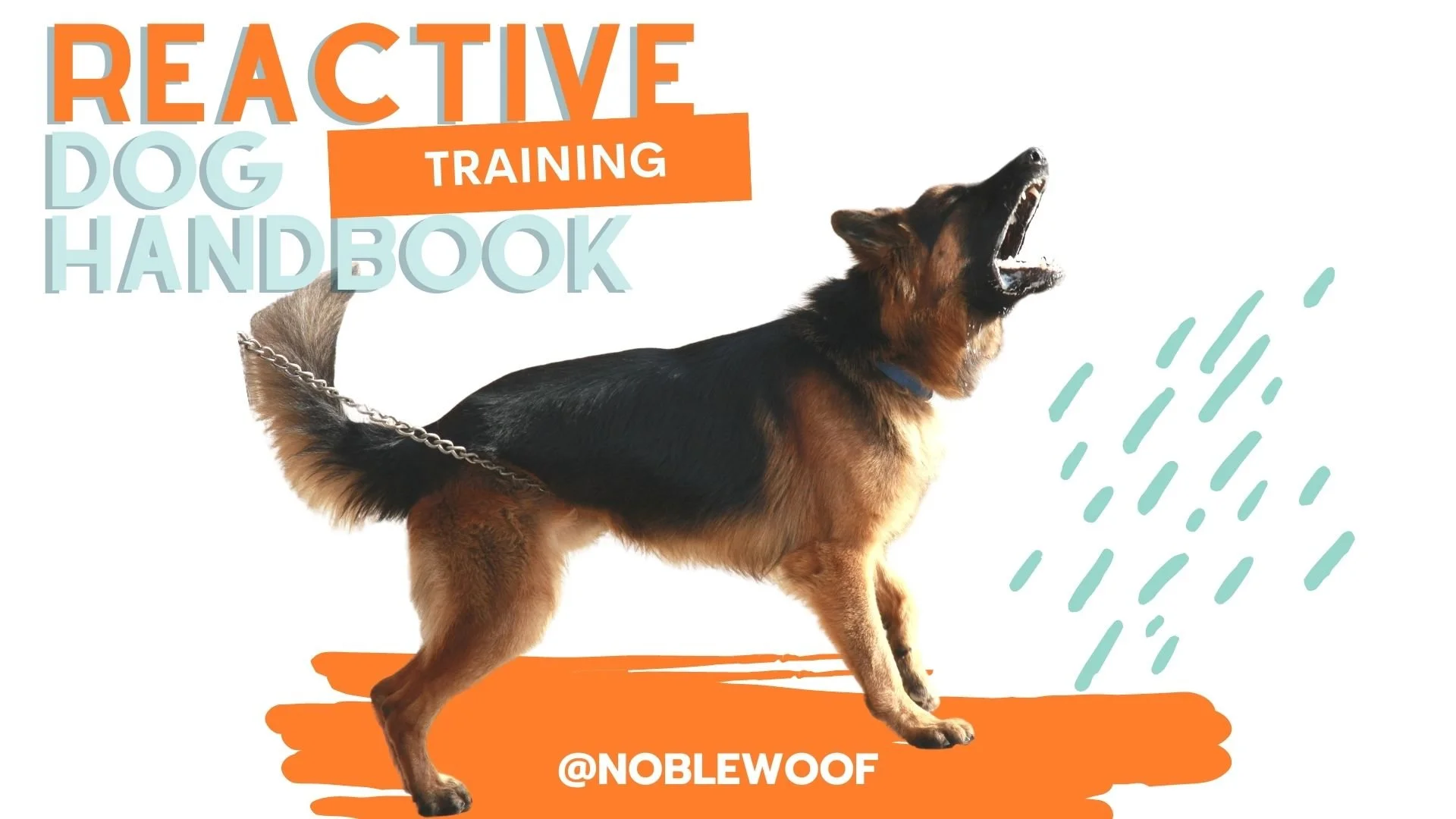 Dog reactivity top